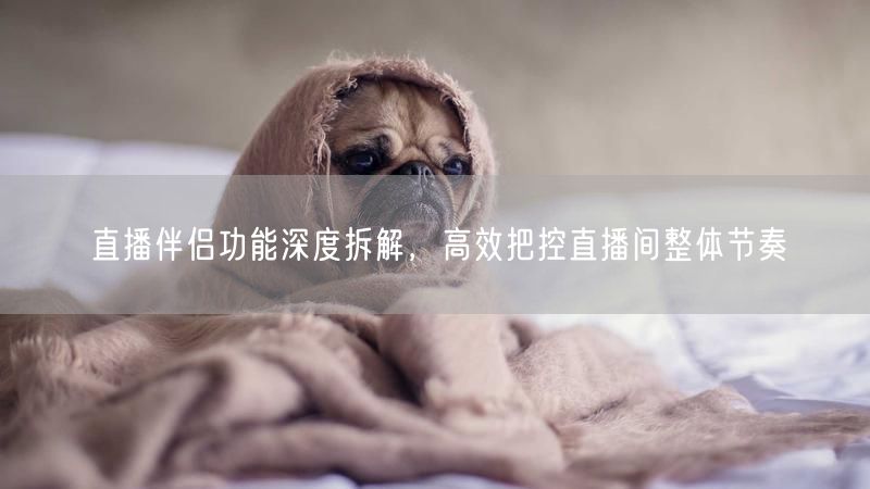 直播伴侣功能深度拆解,高效把控直播间整体节奏