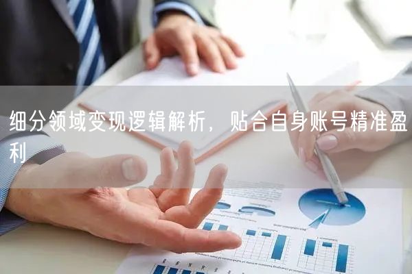 细分领域变现逻辑解析,贴合自身账号精准盈利