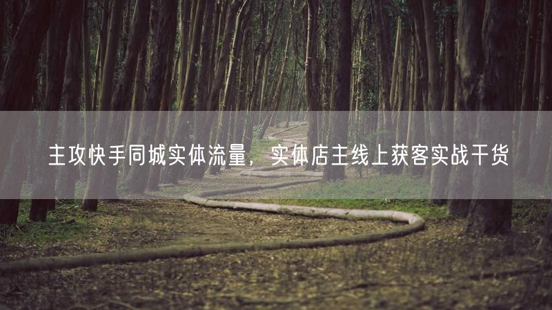 快手同城流量引爆实体店：线上营销获客实战指南