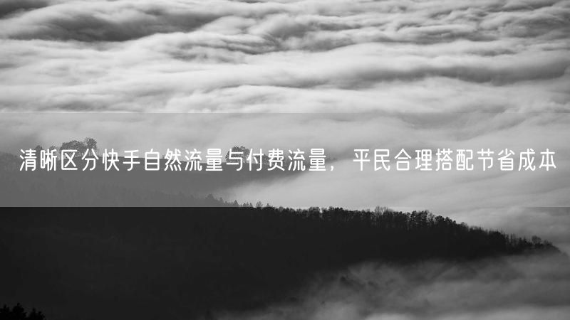 清晰区分快手自然流量与付费流量，平民合理搭配节省成本