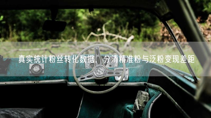 真实统计粉丝转化数据，分清精准粉与泛粉变现差距