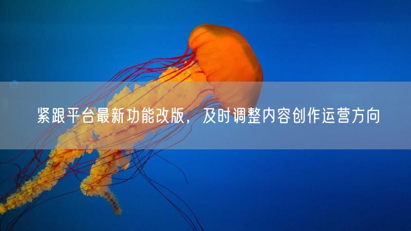 平台功能改版了？速调内容创作与运营方向促增长