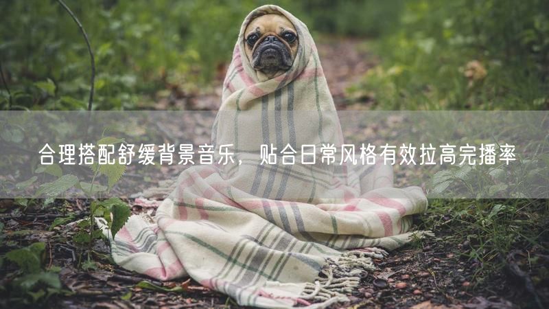 日常视频搭配舒缓背景音乐，轻松提升完播率
