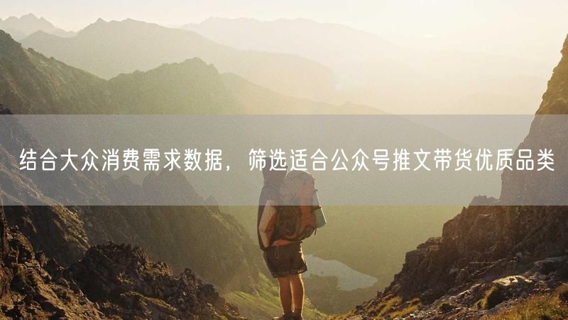 结合大众消费需求数据,筛选适合公众号推文带货优质品类
