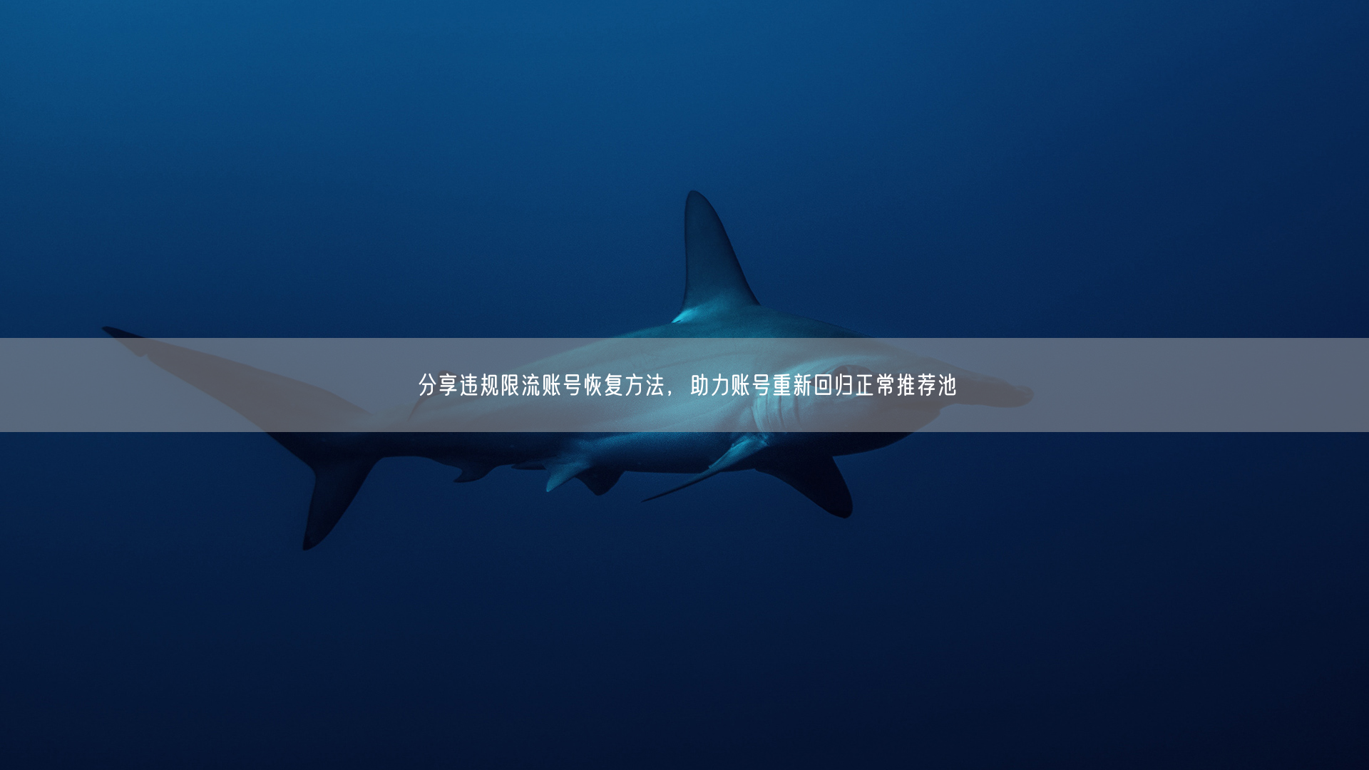 违规限流别慌！掌握账号恢复法重返推荐池