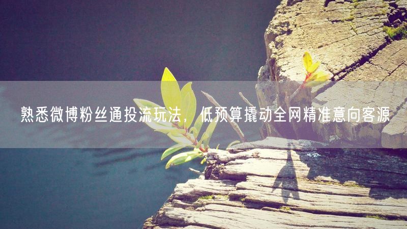 熟悉微博粉丝通投流玩法，低预算撬动全网精准意向客源