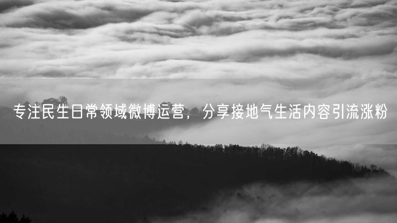 专注民生日常领域微博运营,分享接地气生活内容引流涨粉