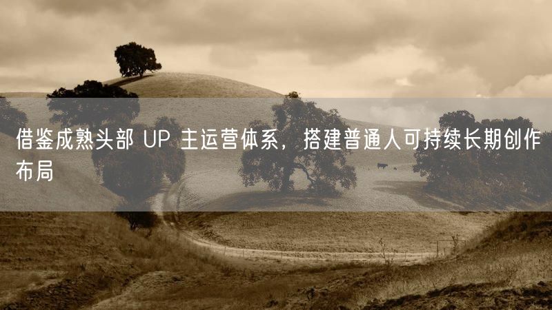 借鉴成熟头部 UP 主运营体系，搭建普通人可持续长期创作布局