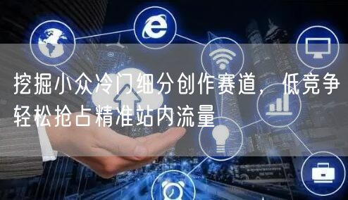 挖掘小众冷门细分创作赛道，低竞争轻松抢占精准站内流量