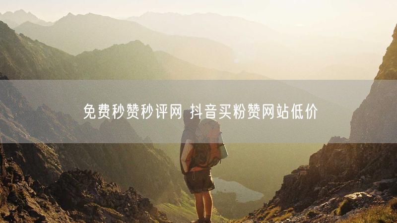 免费秒赞秒评网 抖音买粉赞网站低价