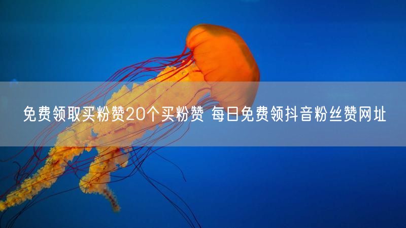 免费领取买粉赞20个买粉赞 每日免费领抖音粉丝赞网址