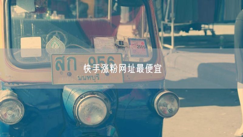 快手涨粉网址最便宜