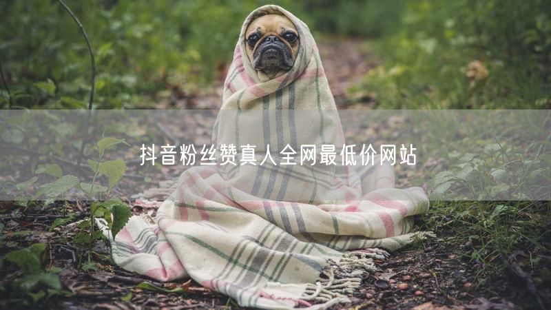 抖音粉丝赞真人全网最低价网站