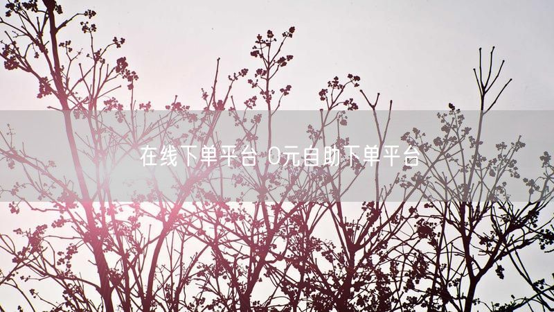 在线下单平台 0元自助下单平台