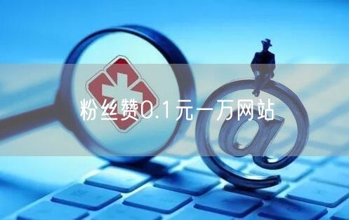 粉丝赞0.1元一万网站