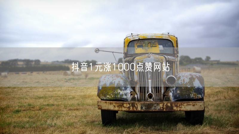 抖音1元涨1000点赞网站