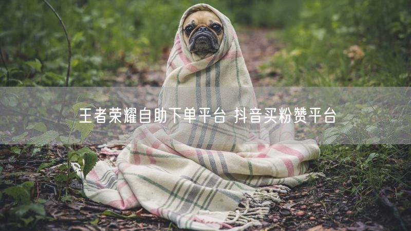 王者荣耀自助下单平台 抖音买粉赞平台