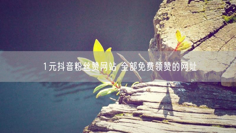 1元抖音粉丝赞网站 全部免费领赞的网址