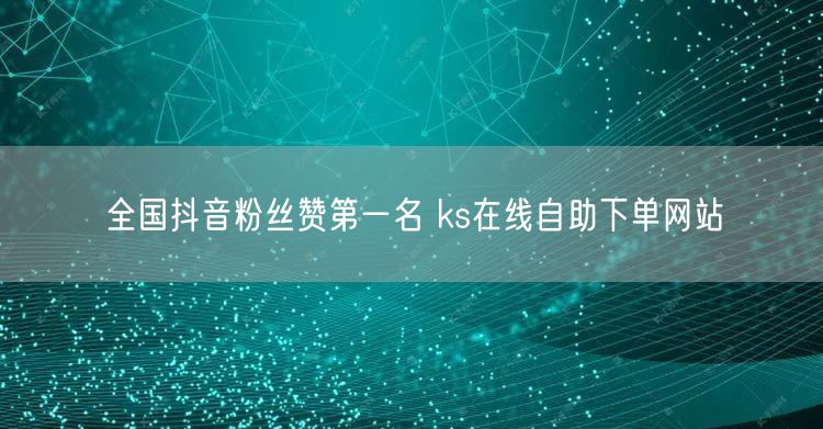全国抖音粉丝赞第一名 ks在线自助下单网站