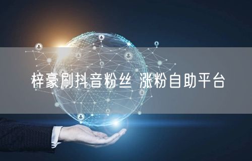 梓豪刷抖音粉丝 涨粉自助平台