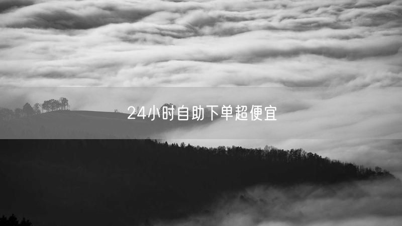 24小时自助下单超便宜
