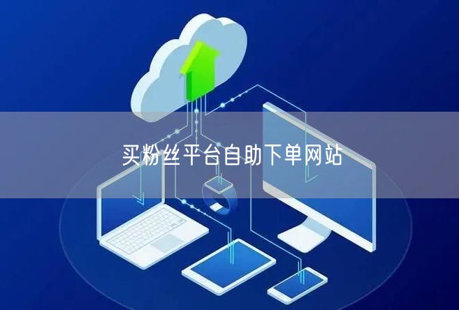 买粉丝平台自助下单网站