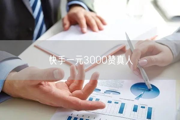快手一元3000赞真人