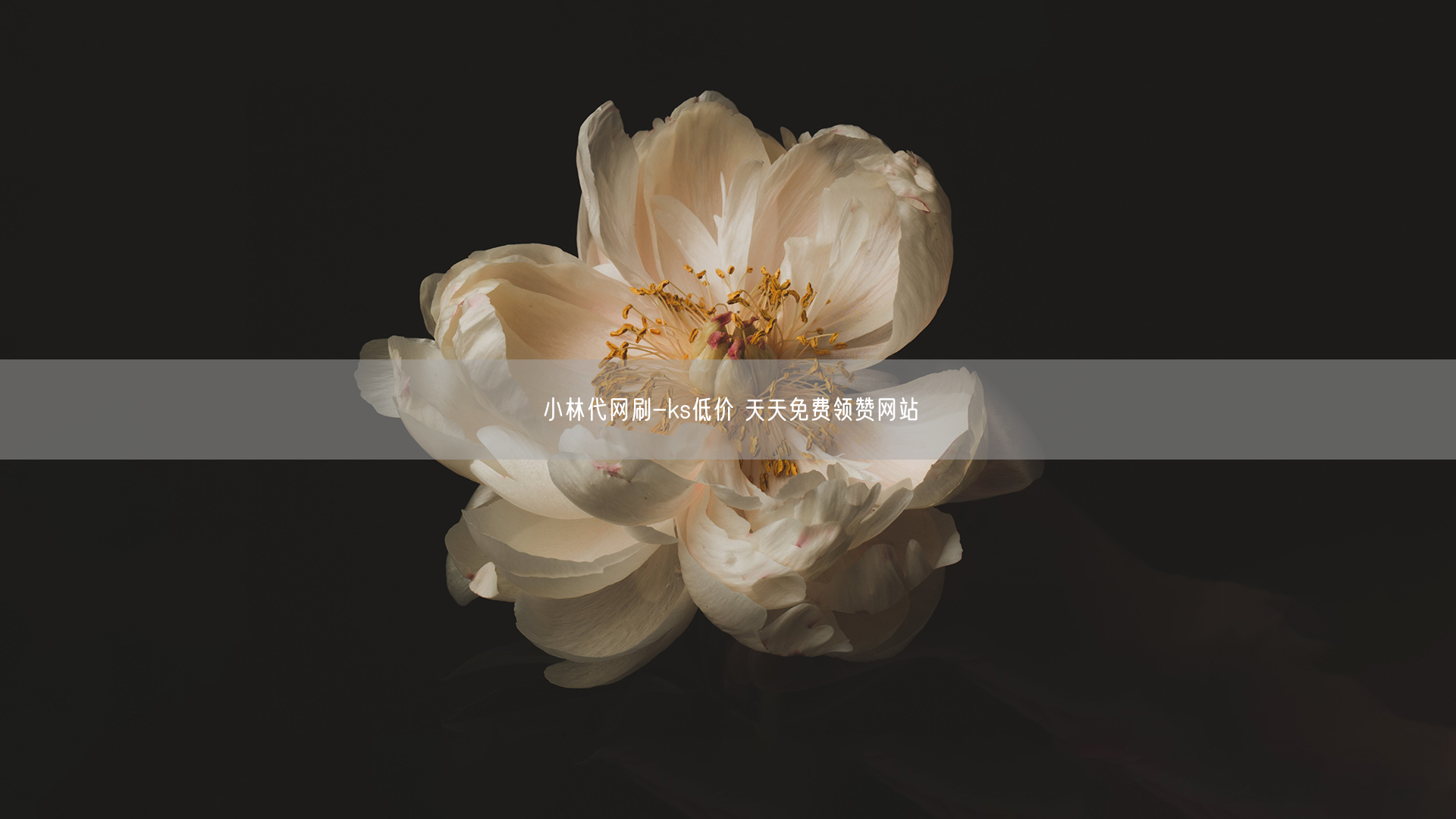 小林代网刷-ks低价 天天免费领赞网站