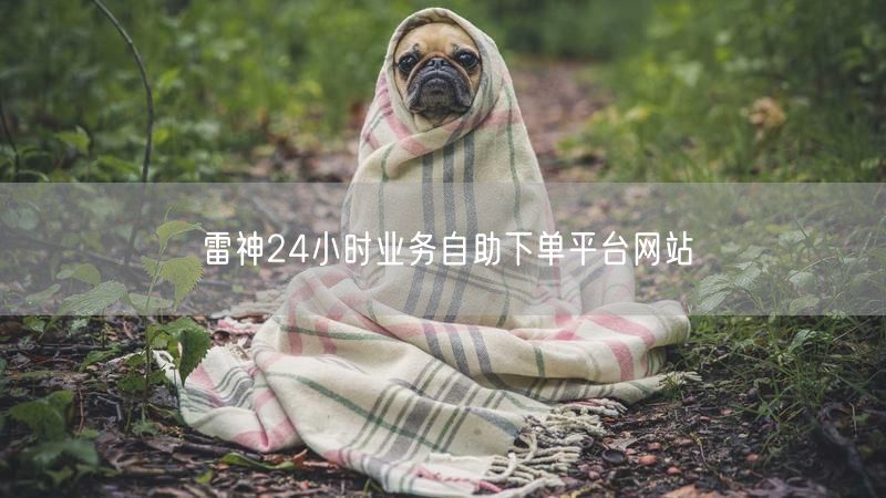 雷神24小时业务自助下单平台网站