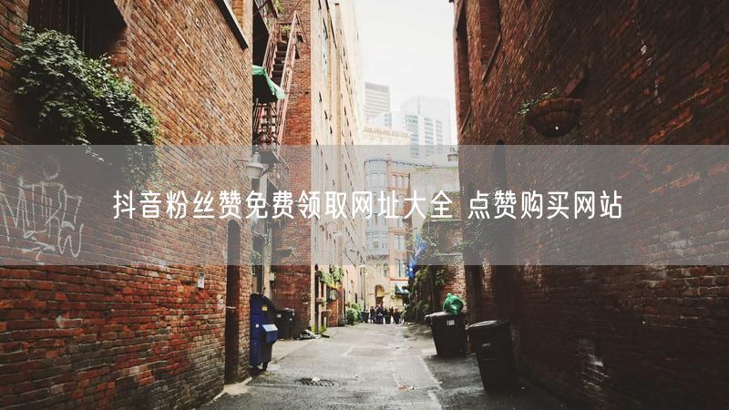 抖音粉丝赞免费领取网址大全 点赞购买网站