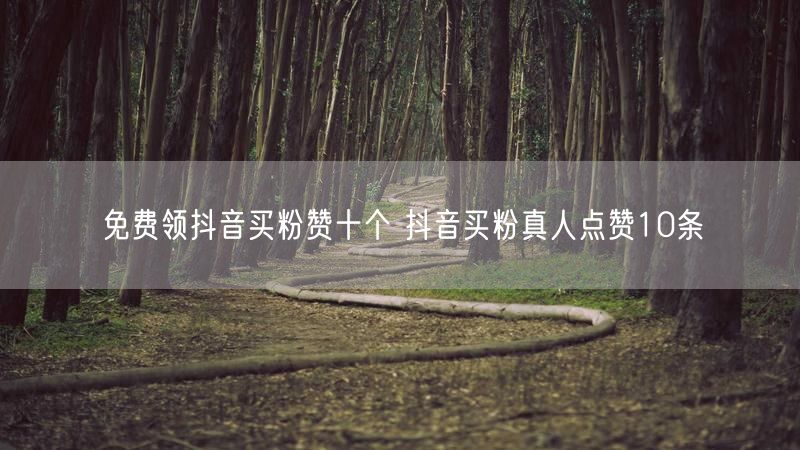 免费领抖音买粉赞十个 抖音买粉真人点赞10条
