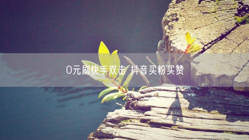 0元刷快手双击 抖音买粉买赞