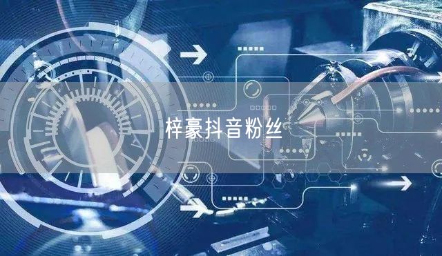 梓豪抖音粉丝
