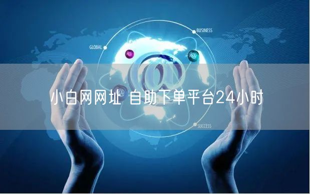小白网网址 自助下单平台24小时