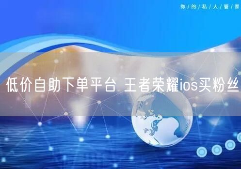 低价自助下单平台 王者荣耀ios买粉丝