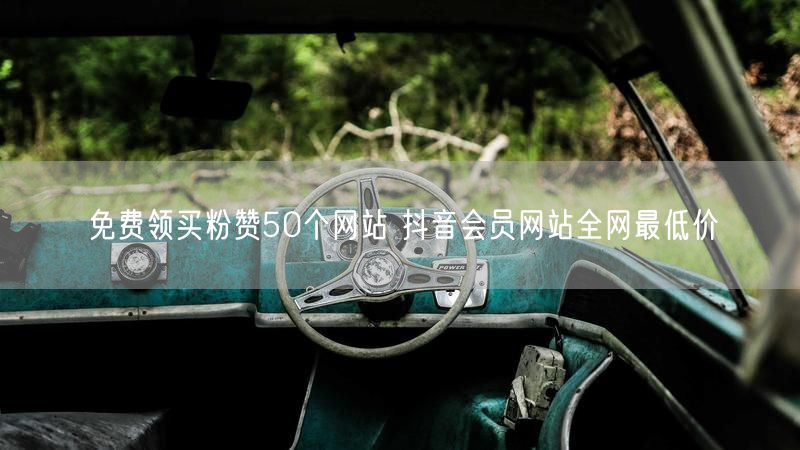 免费领买粉赞50个网站 抖音会员网站全网最低价
