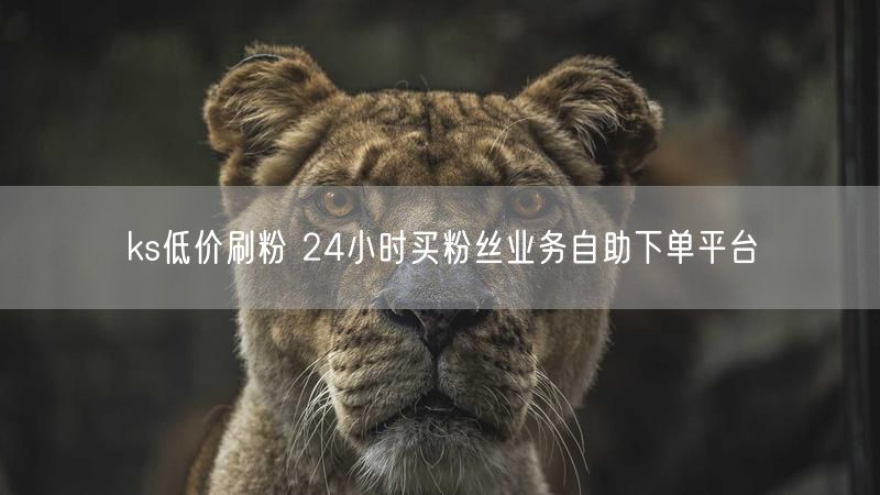 ks低价刷粉 24小时买粉丝业务自助下单平台