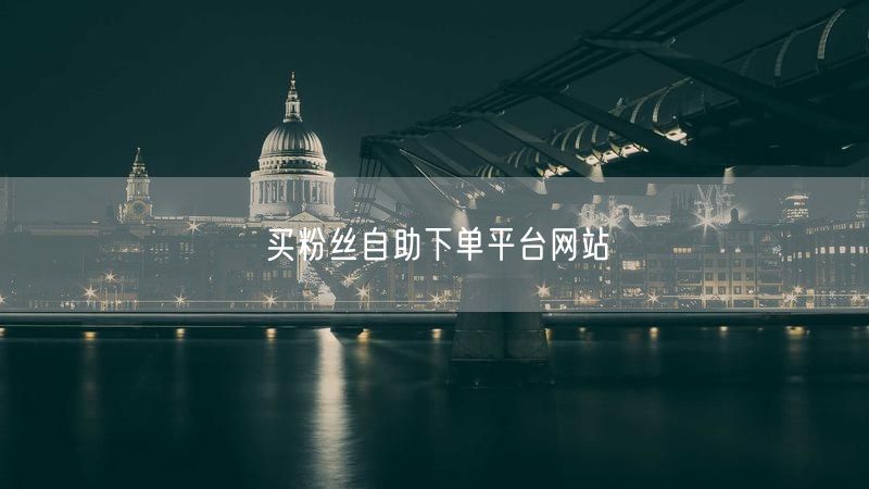买粉丝自助下单平台网站