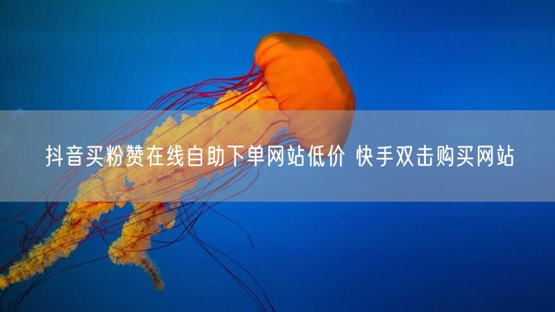 抖音买粉赞在线自助下单网站低价 快手双击购买网站