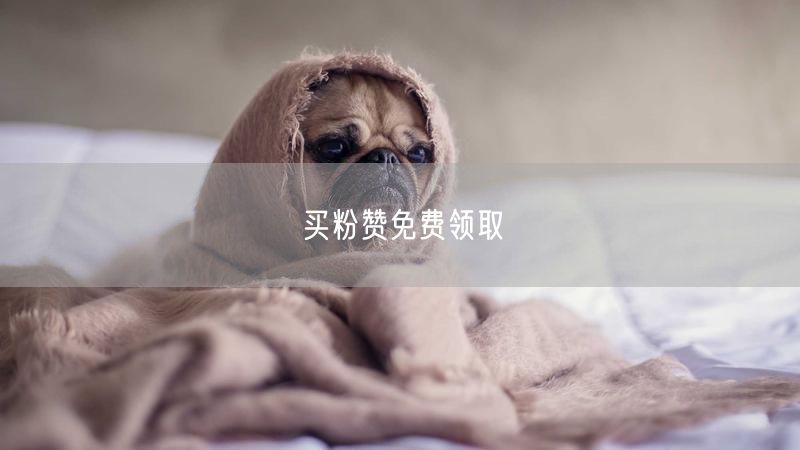 买粉赞免费领取