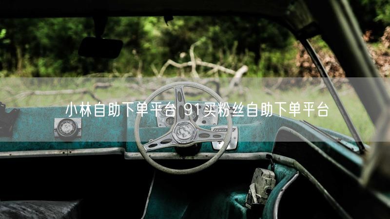 小林自助下单平台 91买粉丝自助下单平台