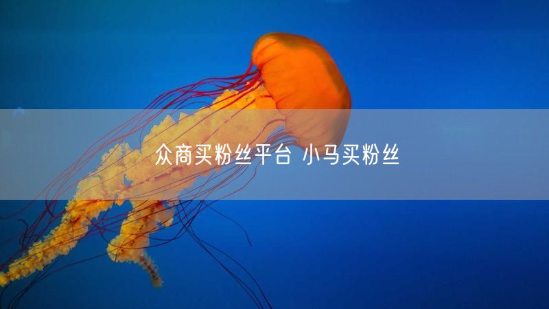 众商买粉丝平台 小马买粉丝