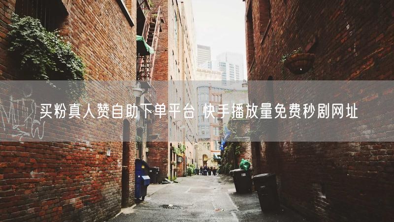 买粉真人赞自助下单平台 快手播放量免费秒剧网址