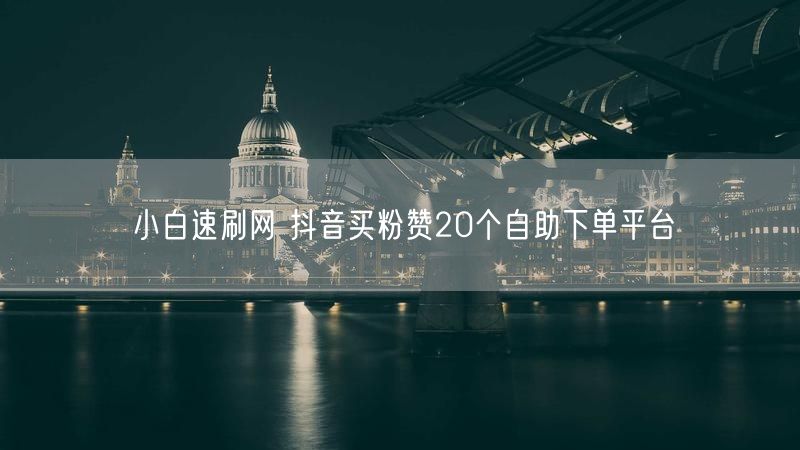 小白速刷网 抖音买粉赞20个自助下单平台