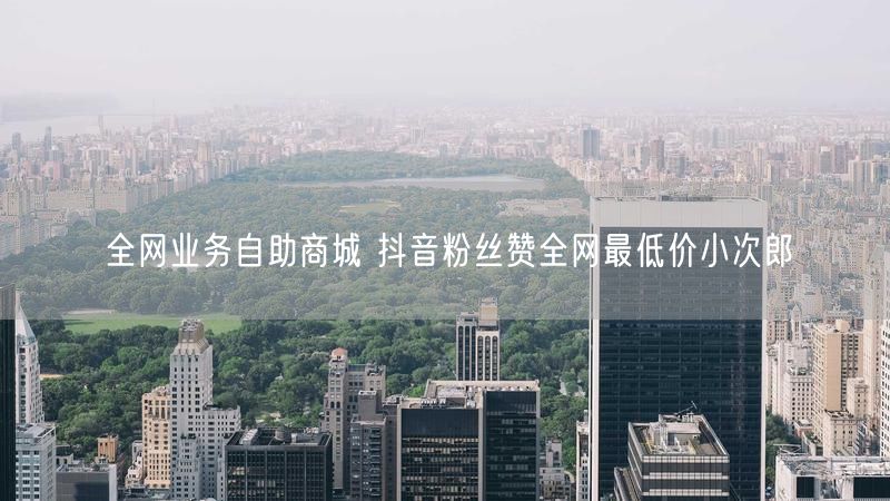 全网业务自助商城 抖音粉丝赞全网最低价小次郎