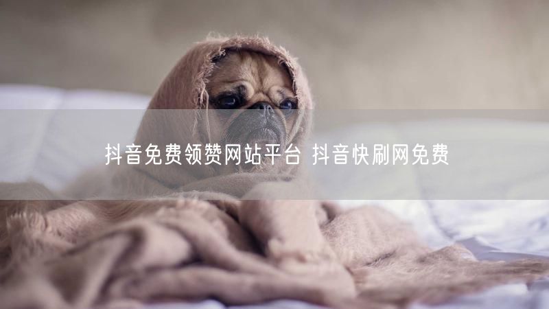 抖音免费领赞网站平台 抖音快刷网免费