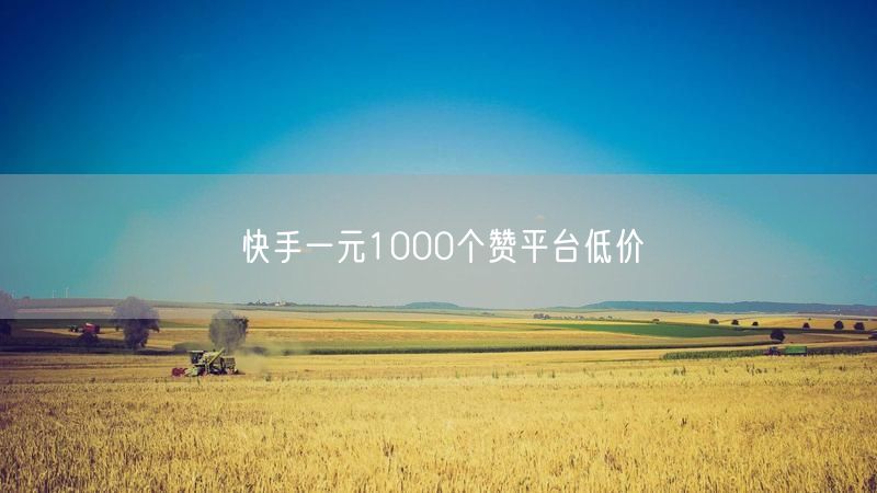 快手一元1000个赞平台低价