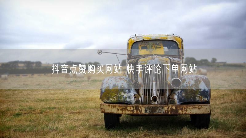 抖音点赞购买网站 快手评论下单网站