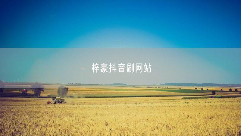梓豪抖音刷网站