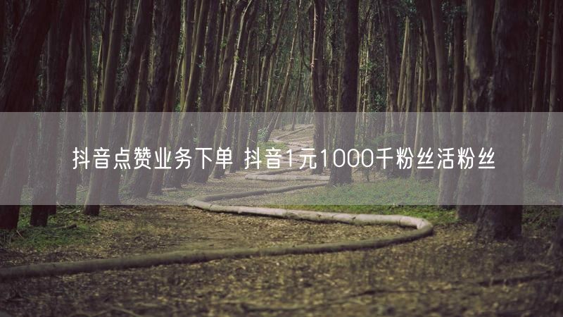 抖音点赞业务下单 抖音1元1000千粉丝活粉丝